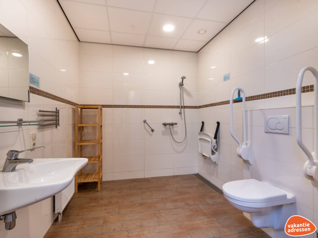 Aangepaste sanitaire ruimte met beugels en douchestoel